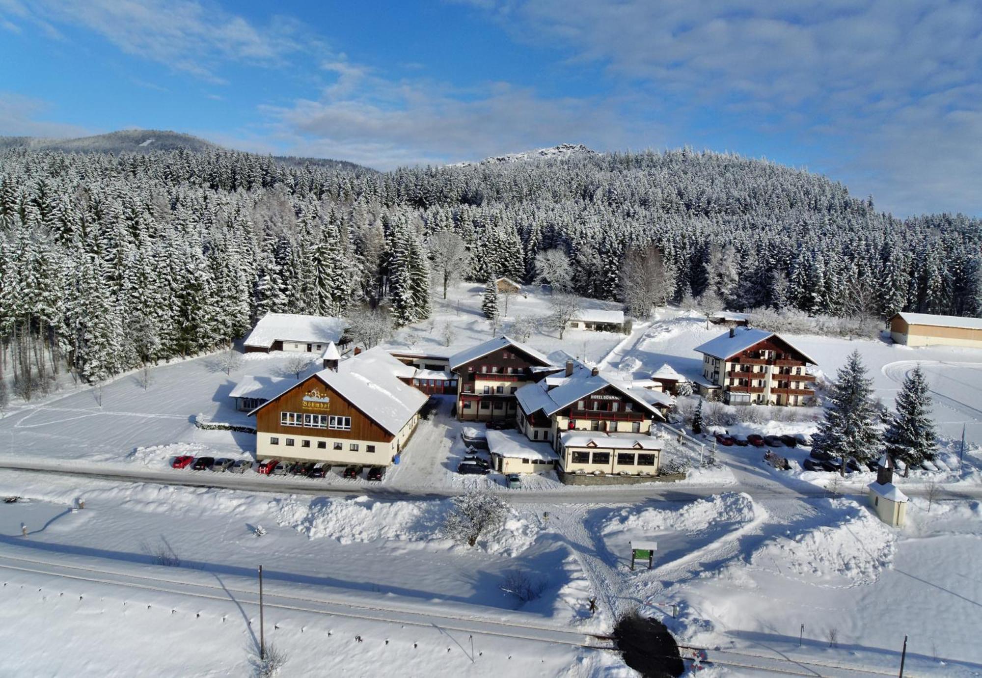 Wellness- Und Vitalhotel Boehmhof Bodenmais Eksteriør billede