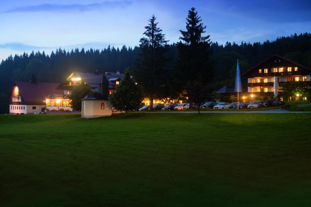 Wellness- Und Vitalhotel Boehmhof Bodenmais Eksteriør billede