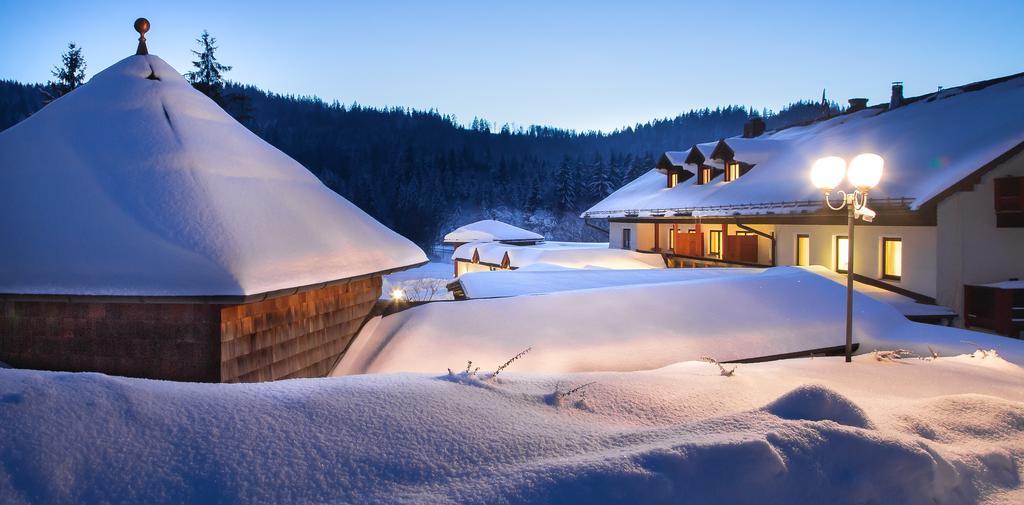 Wellness- Und Vitalhotel Boehmhof Bodenmais Eksteriør billede